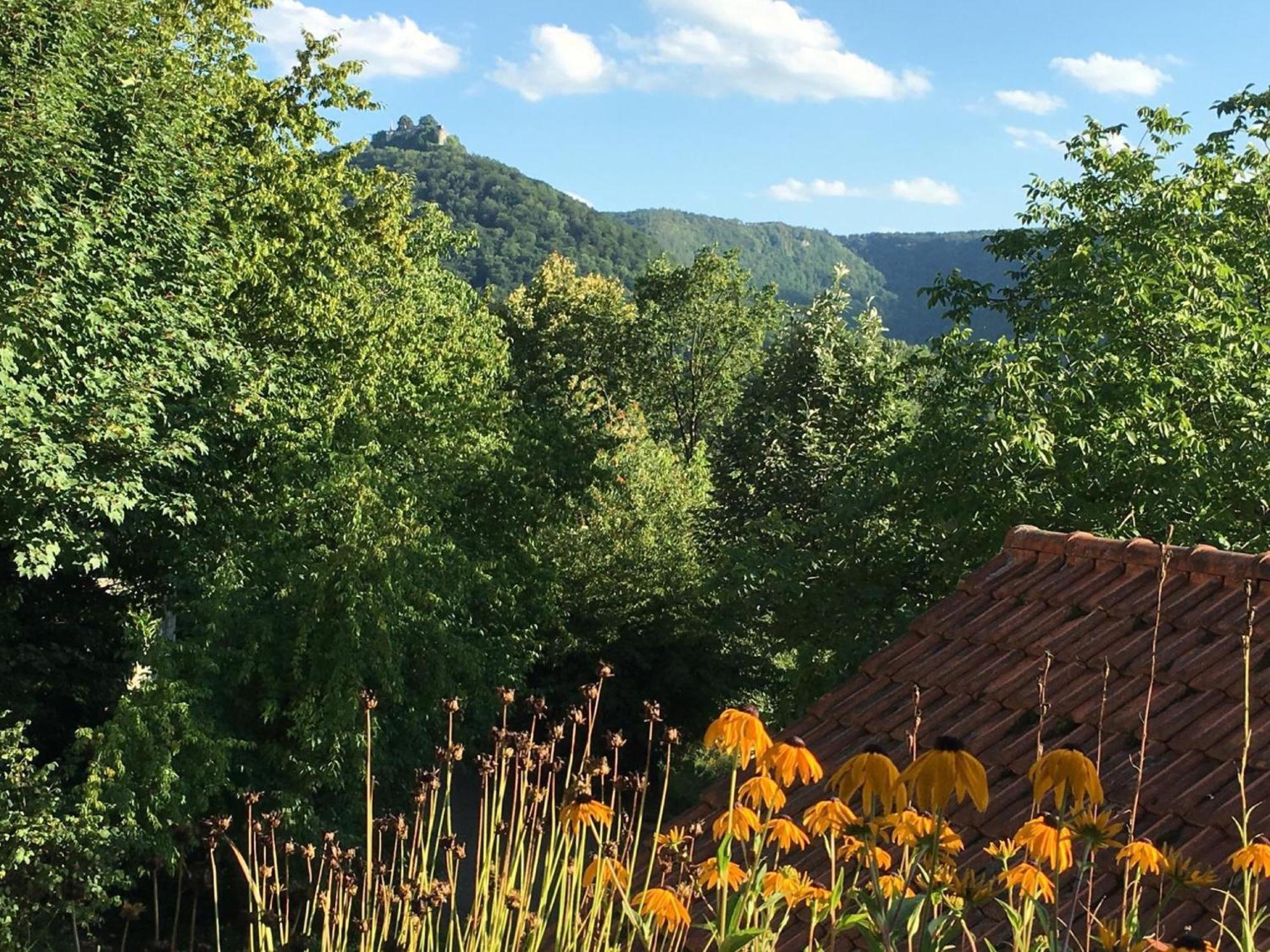 Haus Am Sonnenhuegel Lejlighed Bad Urach Eksteriør billede