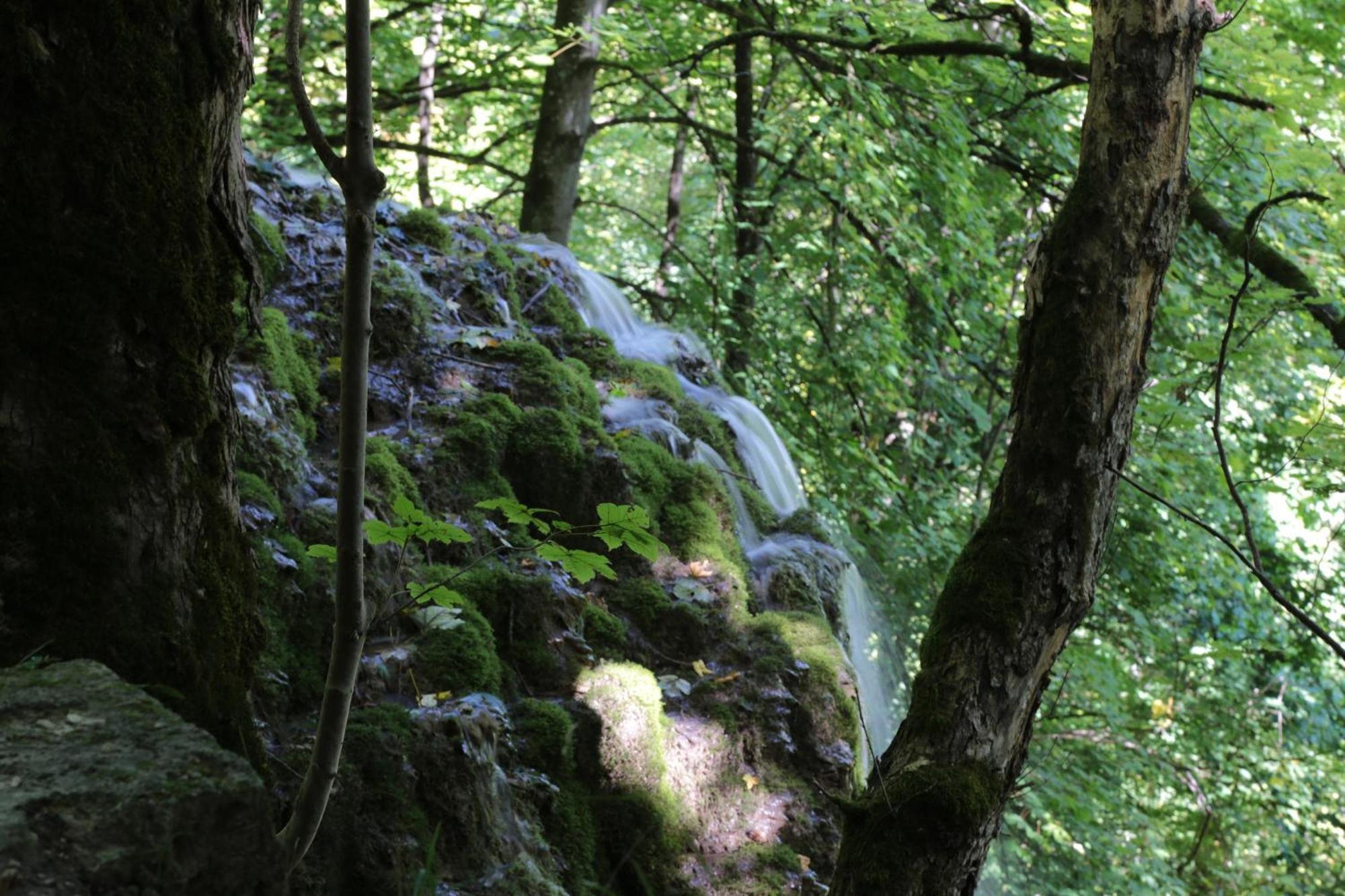 Haus Am Sonnenhuegel Lejlighed Bad Urach Eksteriør billede